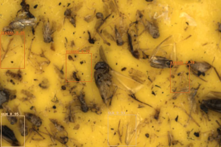 Image 21
